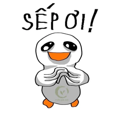 Meme cảm ơn 55
