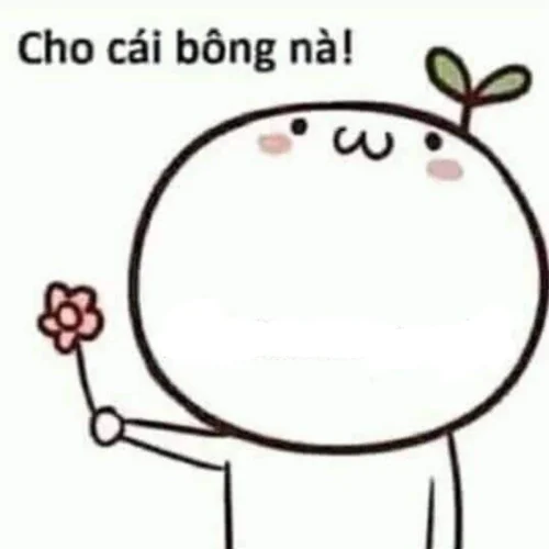 Meme cảm ơn 56