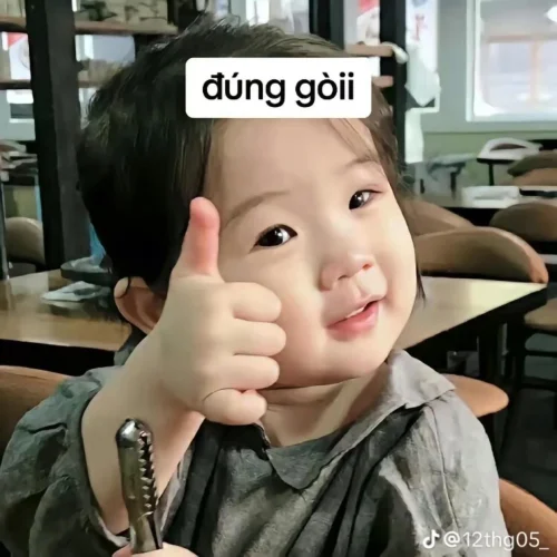 Meme cảm ơn 4