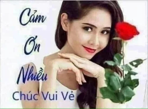 Meme cảm ơn 7