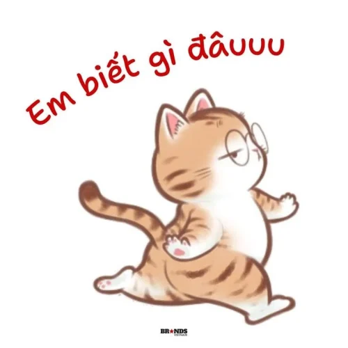 Meme cảm ơn 12