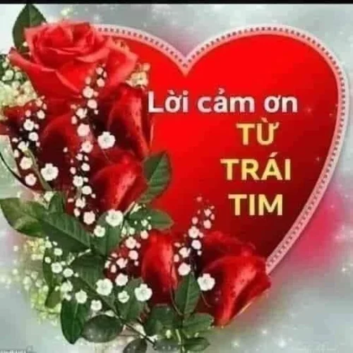 Meme cảm ơn 16