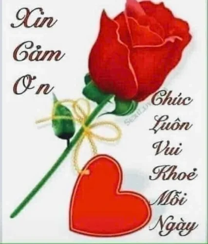 Meme cảm ơn 17