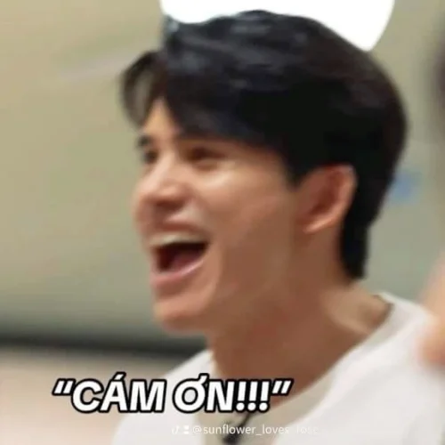 Meme cảm ơn 19