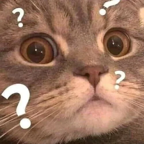 Meme cảm ơn 20