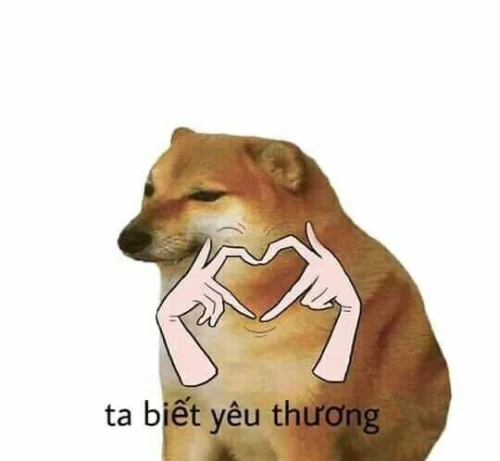 Meme cảm ơn 23