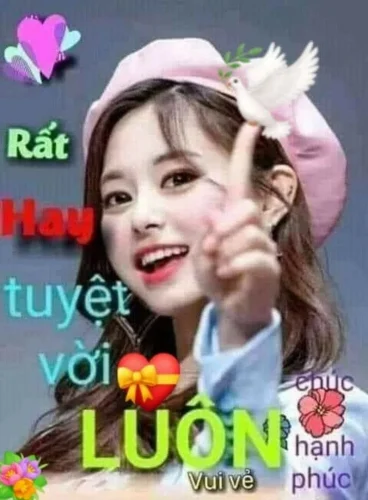 Meme cảm ơn 24