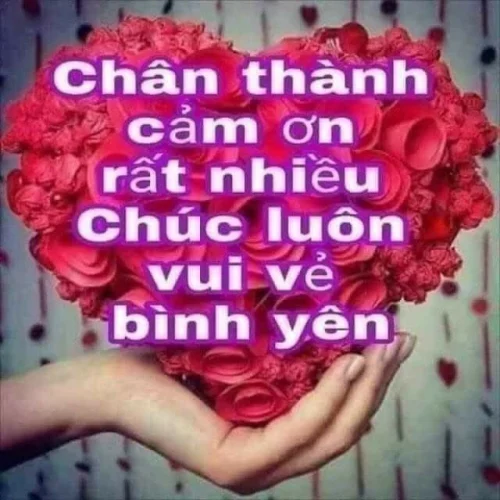 Meme cảm ơn 25