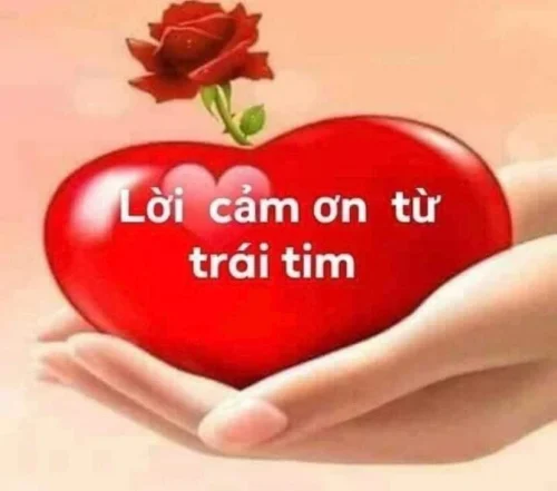 Meme cảm ơn 28