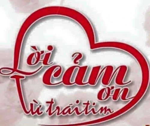 Meme cảm ơn 41