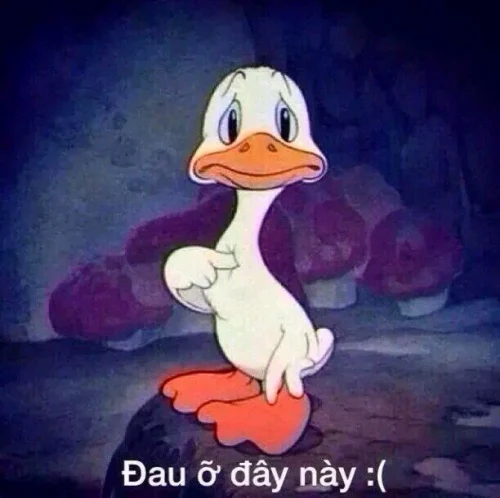 Meme cảm ơn 51