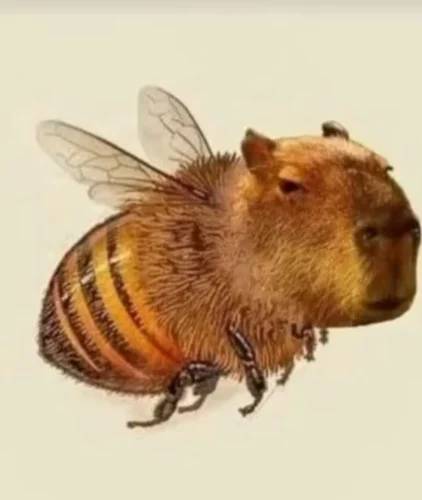 Meme capybara 7