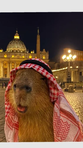 Meme capybara 15