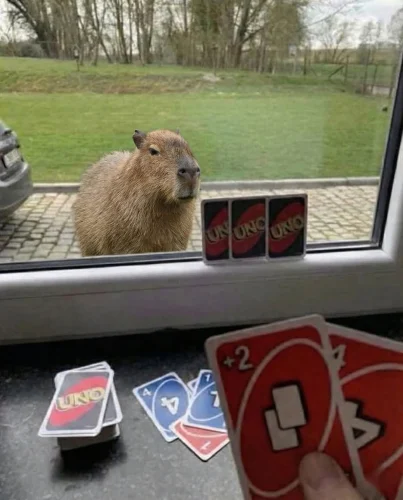 Meme capybara 18
