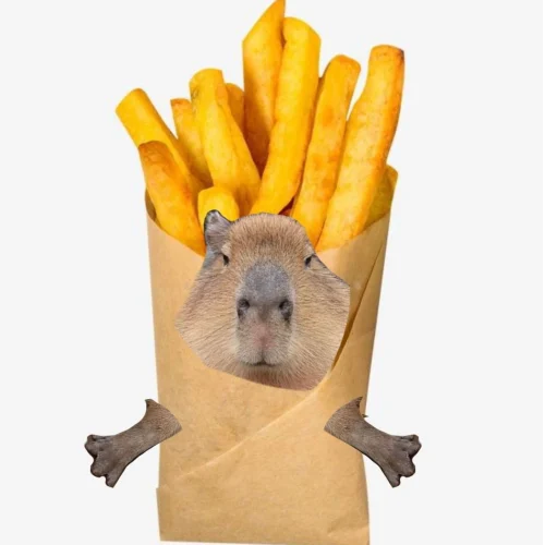 Meme capybara 19