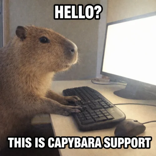 Meme capybara 22