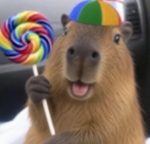 Meme capybara 23
