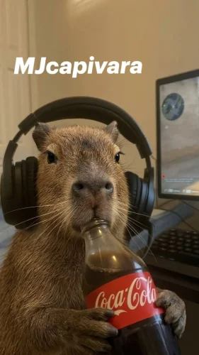 Meme capybara 34