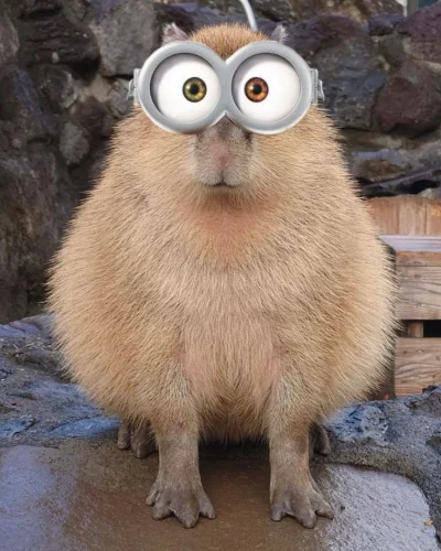 Meme capybara 36