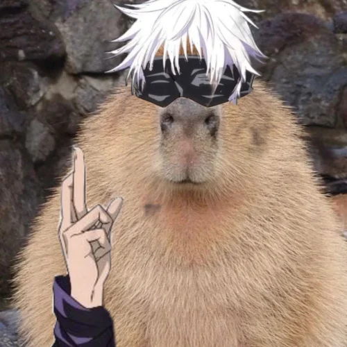 Meme capybara 38