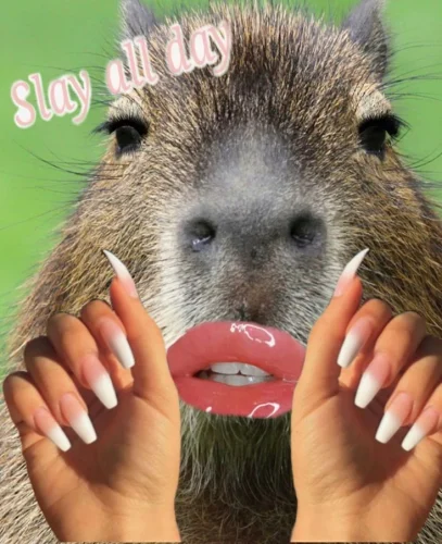 Meme capybara 43