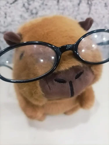 Meme capybara 56