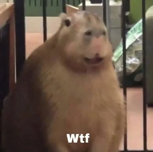 Meme capybara 58