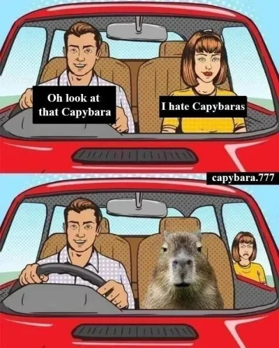 Meme capybara 59