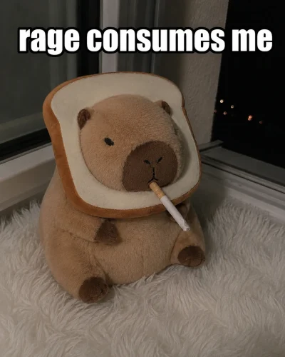 Meme capybara 2