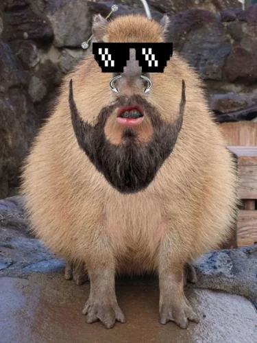 Meme capybara 6