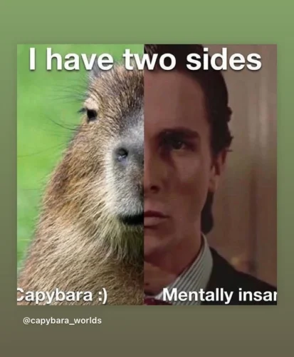 Meme capybara 10