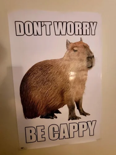 Meme capybara 11