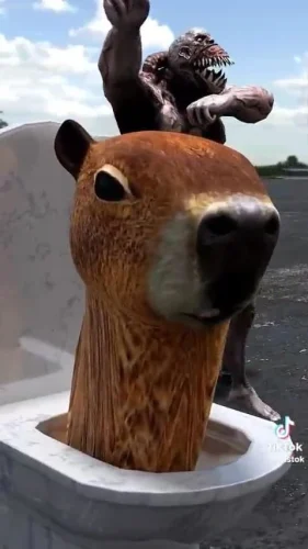 Meme capybara 15