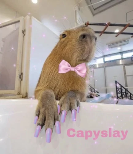 Meme capybara 19