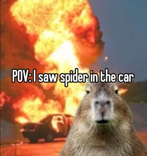 Meme capybara 22