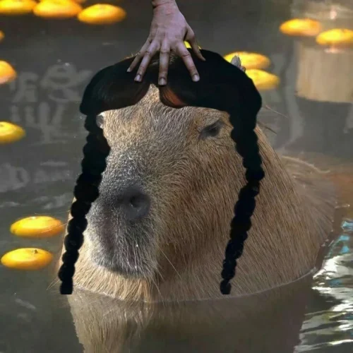 Meme capybara 25