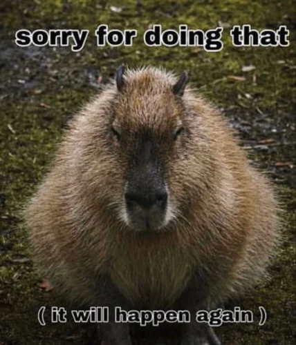 Meme capybara 26