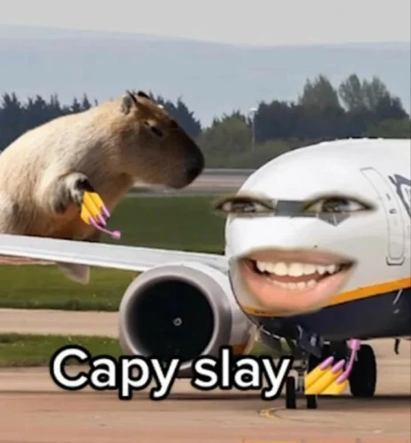 Meme capybara 27