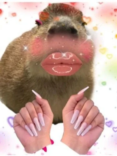 Meme capybara 29
