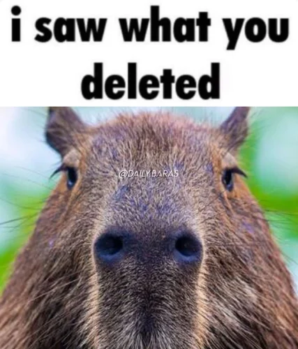 Meme capybara 33