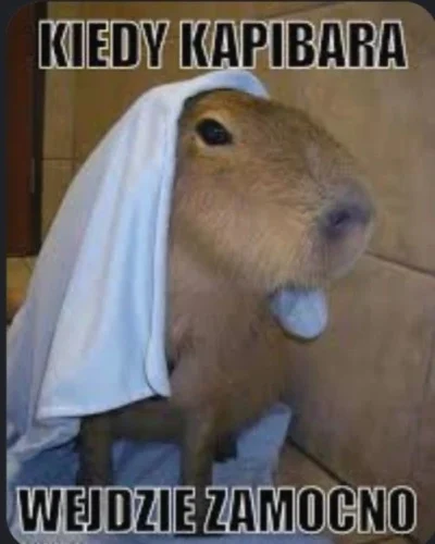 Meme capybara 38