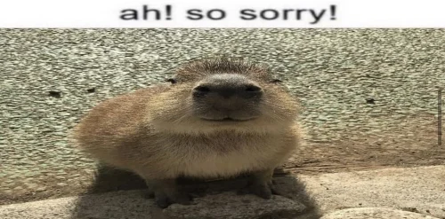 Meme capybara 41