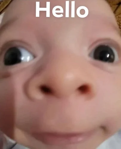 Meme chào hỏi 1
