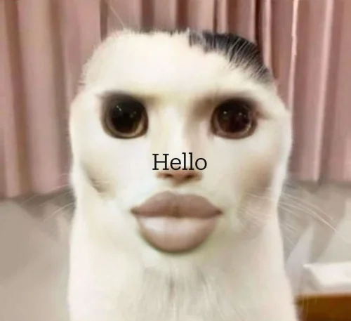 Meme chào hỏi 8