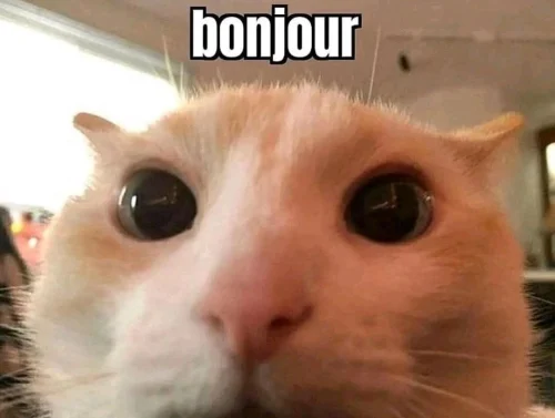 Meme chào hỏi 17