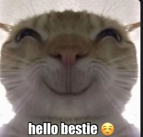 Meme chào hỏi 26