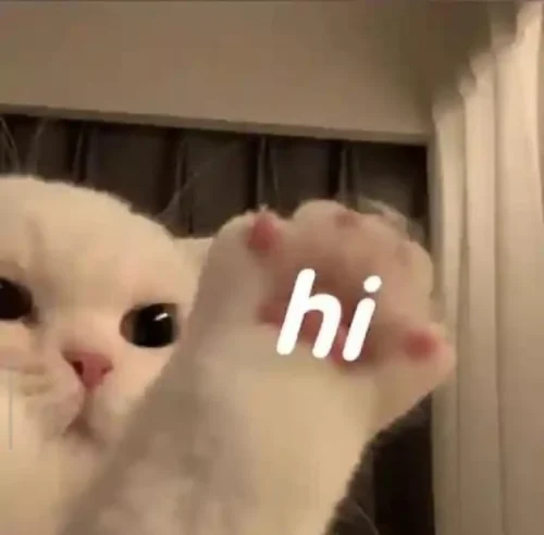 Meme chào hỏi 30
