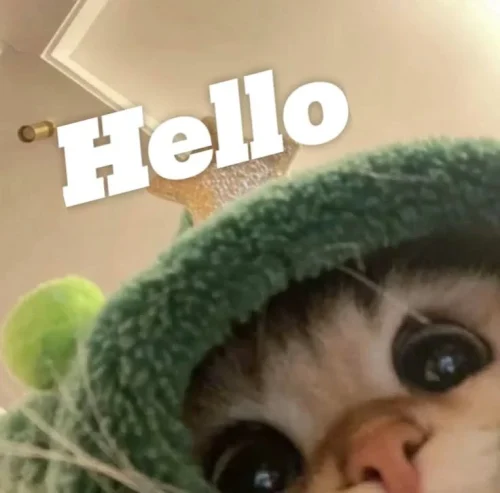 Meme chào hỏi 34