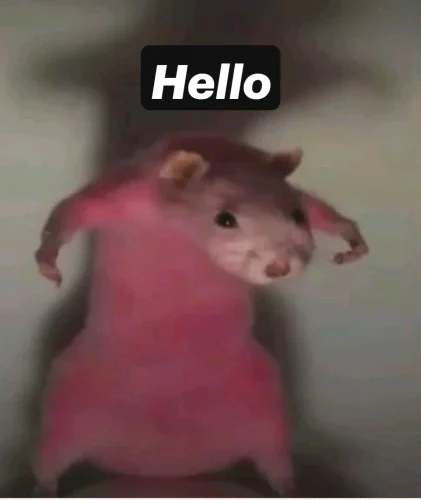 Meme chào hỏi 38