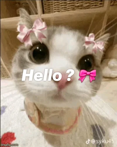 Meme chào hỏi 40